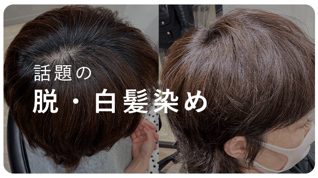 ショートヘアは半年後どうなる？現役美容師が早く伸ばす方法も解説！ 銀座でカットが上手い美容院 ショート・ボブ特化サロン【FABLE GINZA】